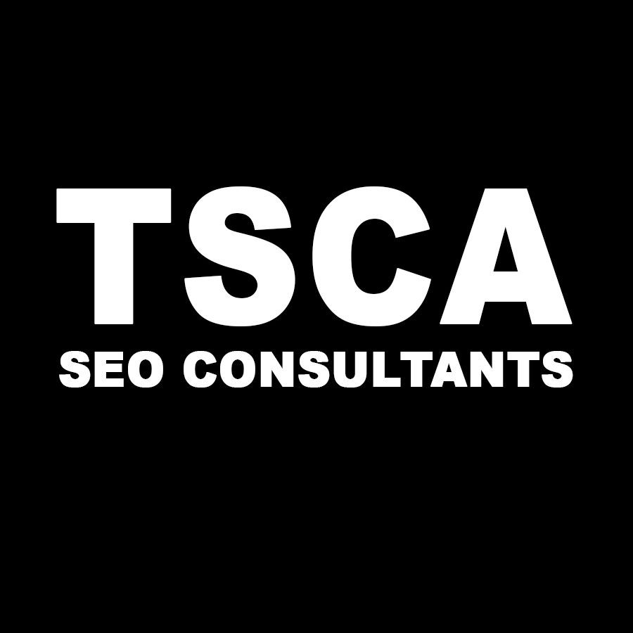 SEO Basics For 2017 | TSCA